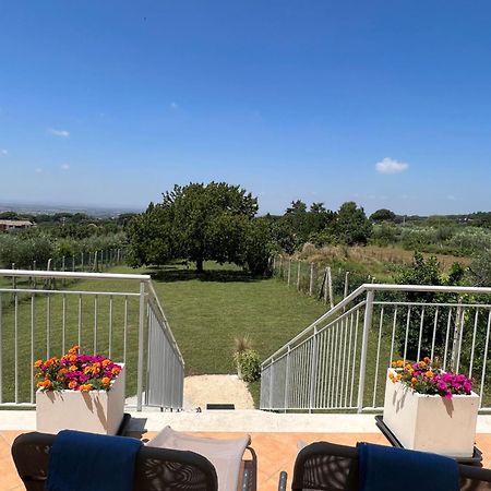 La Terrazza Sul Ciliegio Apartment Marino Exterior photo