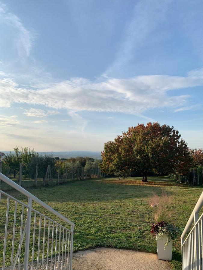 La Terrazza Sul Ciliegio Apartment Marino Exterior photo