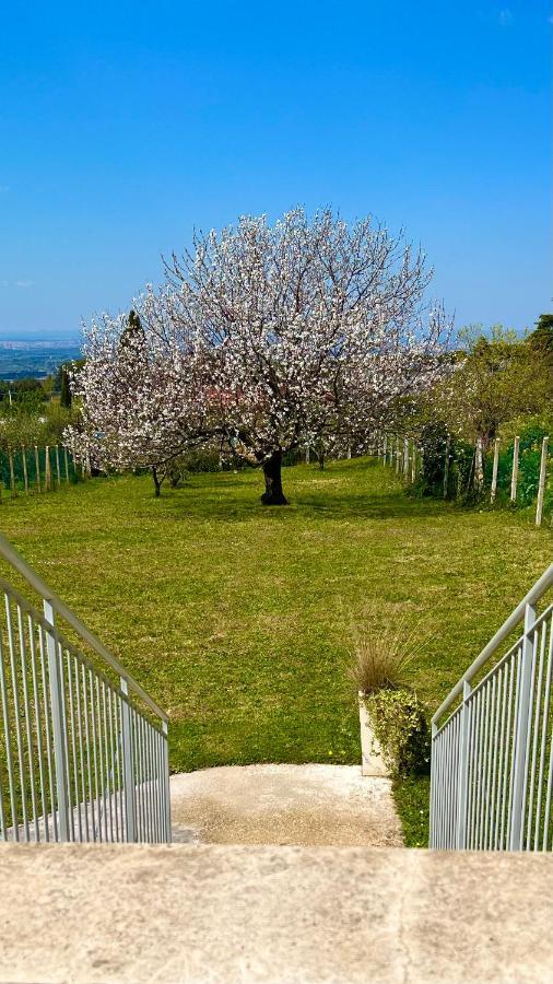 La Terrazza Sul Ciliegio Apartment Marino Exterior photo